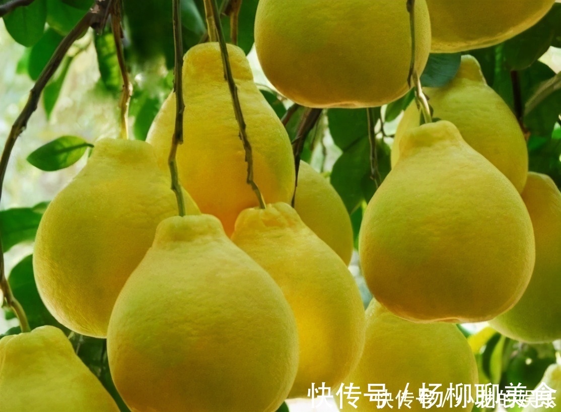 排毒养颜|会吃的人更长寿,3种食物不可少,排毒养颜,有益健康