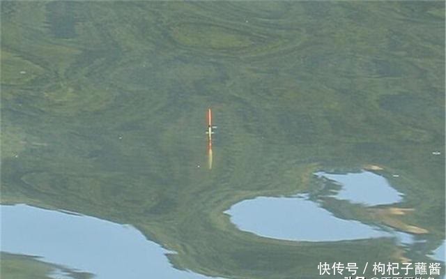 仲春鲫鱼会上浮,别忘了使用飞铅钓,找准鱼层,大鲫鱼快速入鱼护