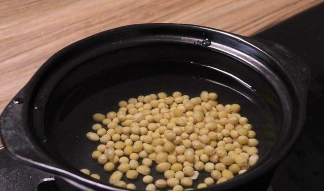 黄豆|养绿萝的小妙招，盆中加一点“它”，一年顺利养百盆，翠绿无黄叶