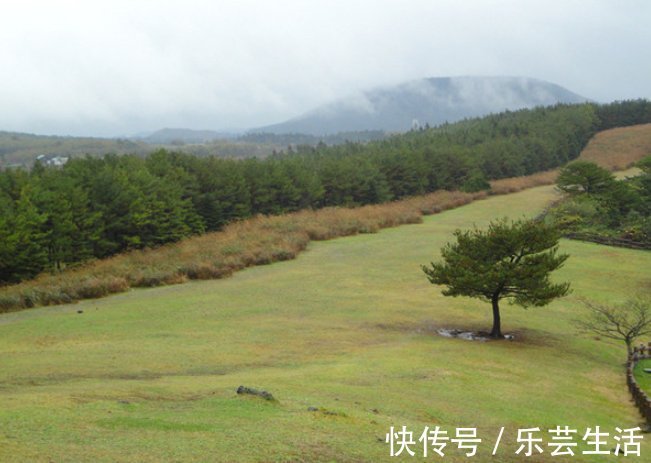 黑市|胎盘在娃出生后完成“使命”,却被成年人盯上,最后胎盘有何归宿