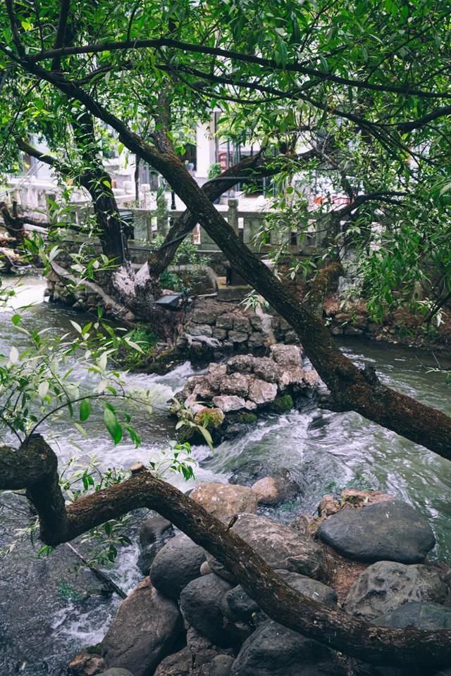 玉龙十三峰|丽江这个景区人少景色美，不收门票成为了丽江绝景