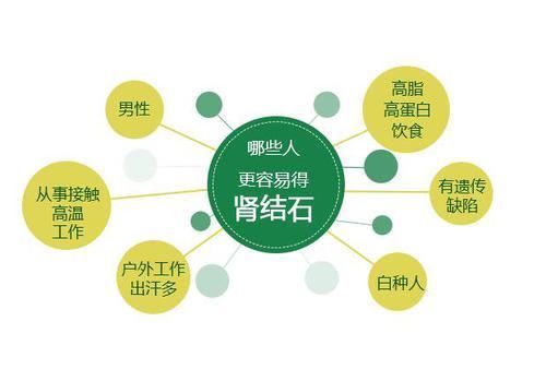 小蓟|体内查出肾结石?只要你能做到这5件事,能够帮助身体排石!