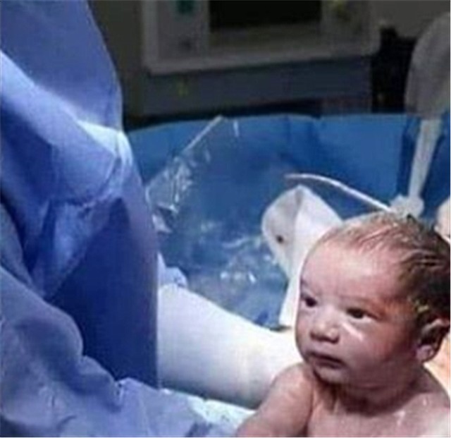 宝宝|“懵圈宝宝”火了,带着一脸茫然的表情出生,网友:这哪像刚出生