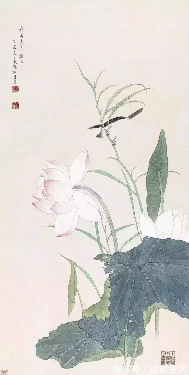 花鸟!她凭天赋自学书画,画画不到20年,却堪称“花鸟圣手”,成为一代传奇