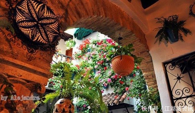 不一样的“庭院花园”，花草都上了墙