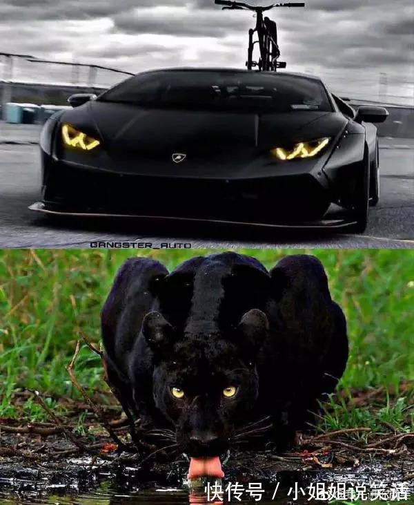 |「被窝段子20180915」社会很残酷 你要活得有温度