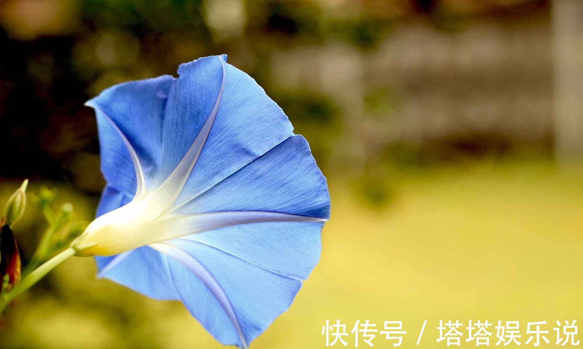 负重|世事无常，人穷别说话，位卑莫劝人