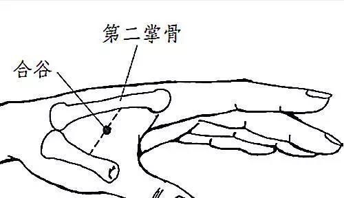 它是“万能穴”,按一按2分钟牙不痛了,不知道太可惜了