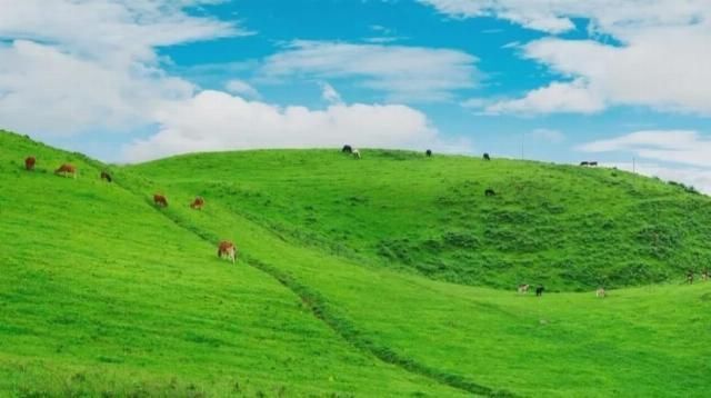 中国又一绝美国道美哭，从冰川到雨林，串联起万千美景