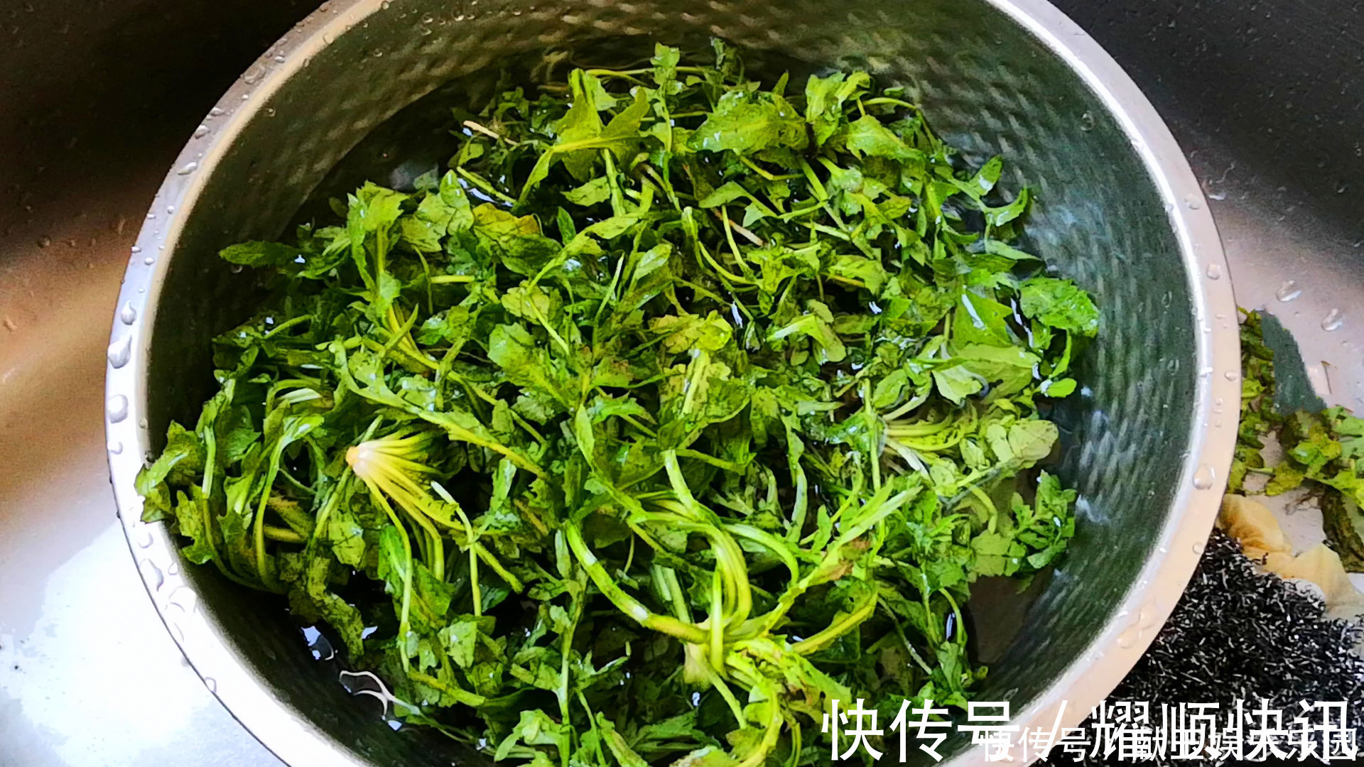 钱包|天冷吃饺子，就馋此馅，比韭菜和白菜都鲜，3块钱包一锅，太香了