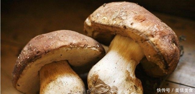 牛肝菌5种最好吃的做法,每种都简单美味,看看你喜欢吃哪种?