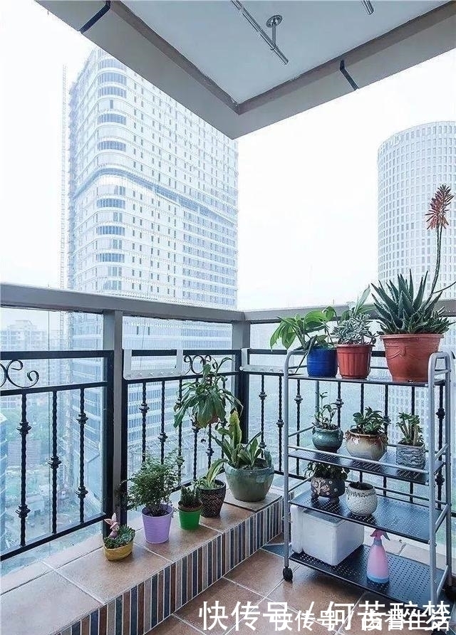 草地|原来阳台还能这样铺砖,太漂亮了,一看就喜欢