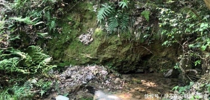 浦江白泥岭古道：遍地都是古董宝贝，可不是只有博物馆的宝贝