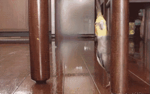 |搞笑GIF：女孩出门一定要注意 别被人偷走东西了都不知道