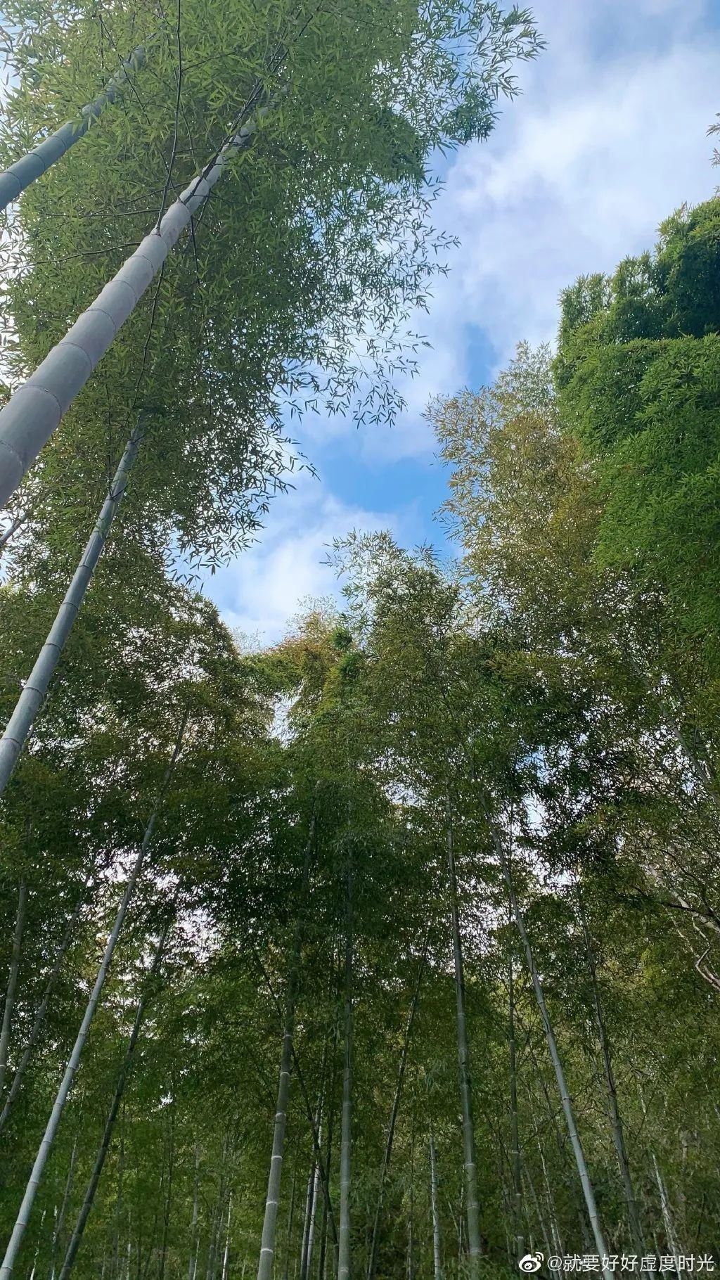 老年|留松过大年丨松江这些红红火火的地方，你去打卡了吗？