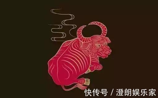 排行榜|属鼠阴险，属猴精明……十二生肖智商排行榜，太准了！