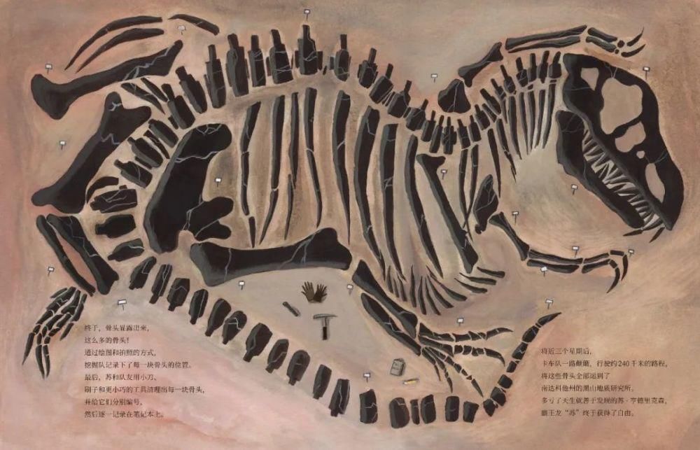 性别 她们用自己的一生证明，好奇心和热爱不分性别