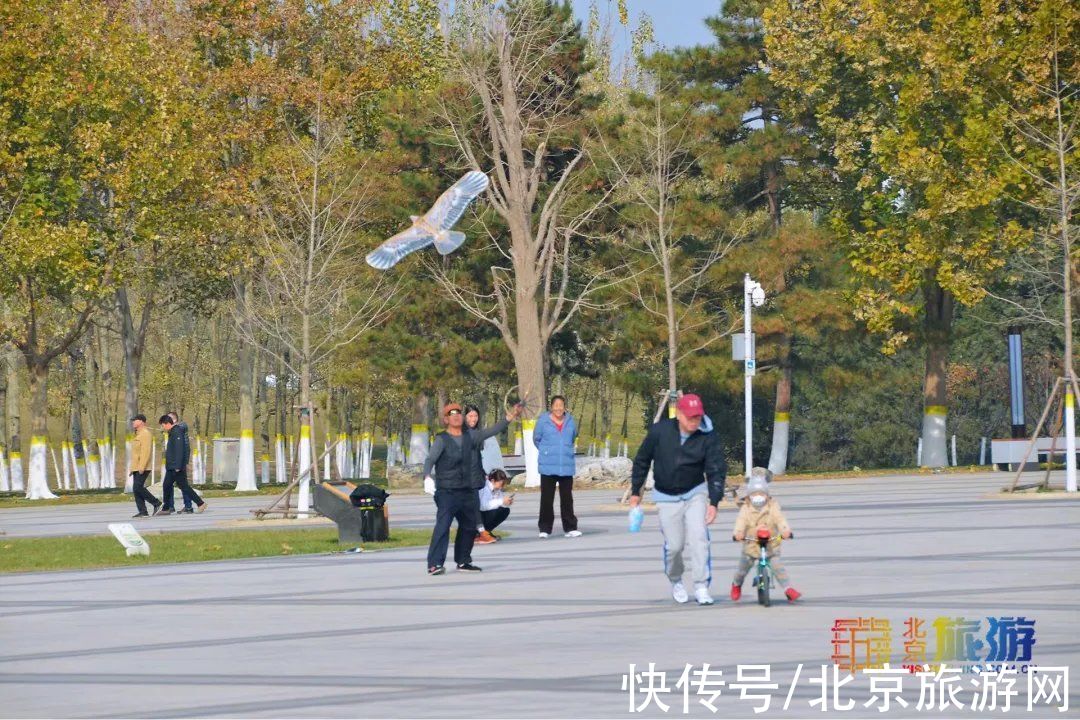 冬景|迎颜值巅峰！京城宝藏冬景实拍，昔日“两岸芦花一钓船”胜景再现~