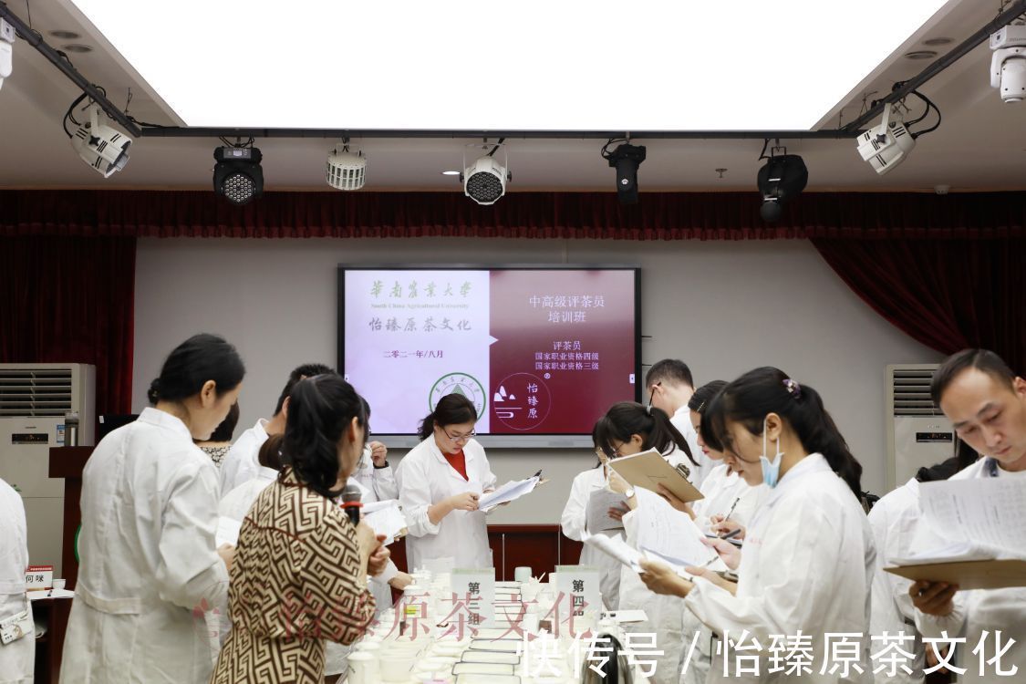 评语|绿茶科普：喝茶时常用到的评茶术语，爱茶人必备知识