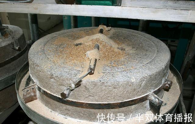 饺子皮|“面粉”和“淀粉”有什么区别,包饺子用差别很大,别再用错了