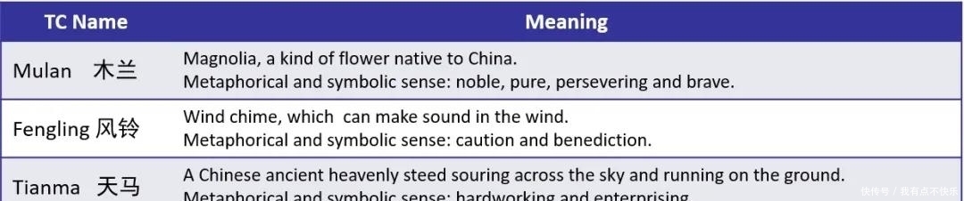 又有台风被除名 给台风取新名字 你也可以 拼多多