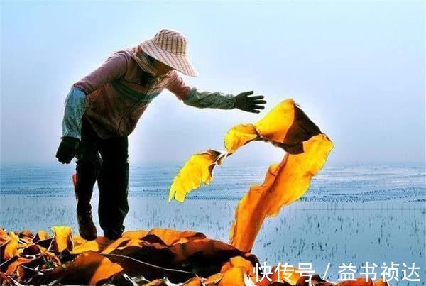 谷氨酸|中国人从“爱用味精”，变成“不吃味精”，为什么不敢吃味精