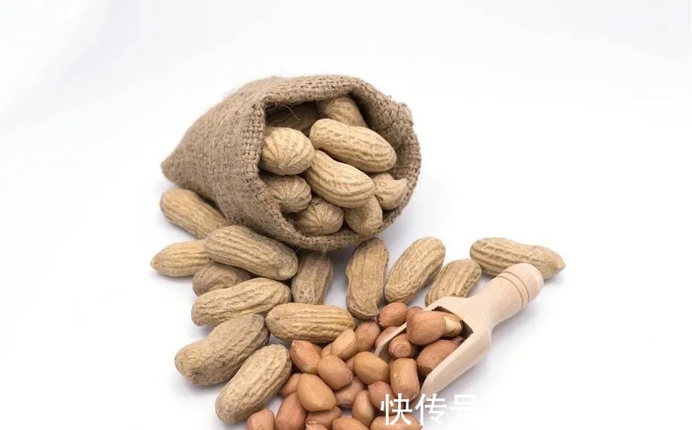 兰根|用花生种植兰花?很多人第一步就错了,正确的技巧是这样的