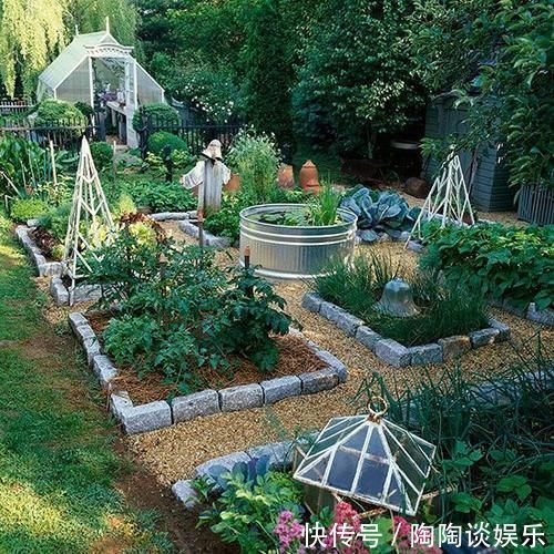 种菜|玩转庭院:家里有院子的话,可以建一个实用又好看的“菜园子”