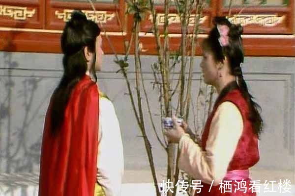 婢女&宝玉的钱，为什么由袭人管？难道少爷还不如婢女有权力？