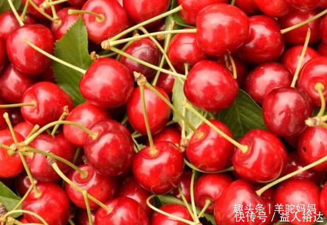 缓解|孕妇经常吃这4种水果,不仅对宝宝好,也能缓解怀孕带来的反应