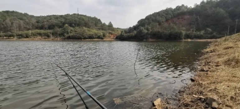 饵料|为什么你钓的鱼比别人少?就是调漂不对,稍加改变效果就不同