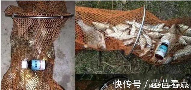 别再七想八想,“征服”黄颡鱼就得用这钓法,不料刚一下竿就有口!