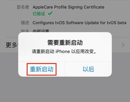 教你去除iPhone设置上烦人的“1”|技巧 | 烦人