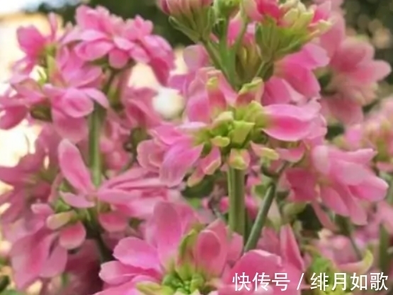 9月11日农历是多少