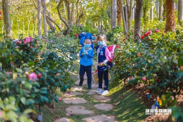 太养眼！茶花廊道、波斯菊花海、勒杜鹃廊道…海天公园上新啦