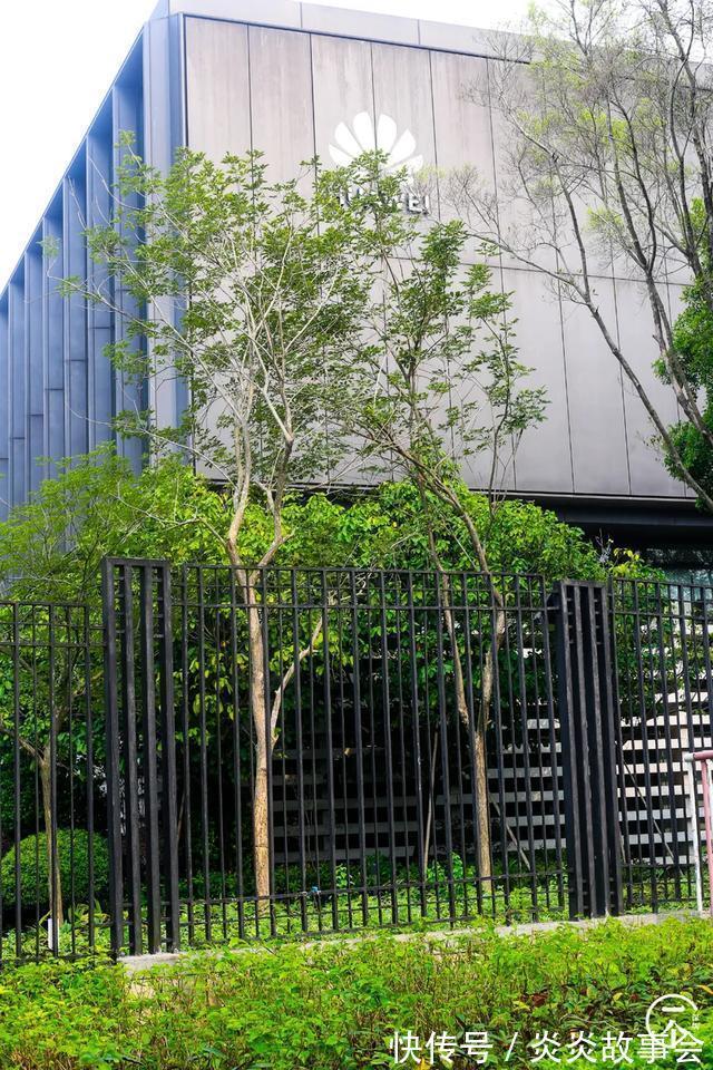 坂田北|遍地华为男,深圳坂田有多绝