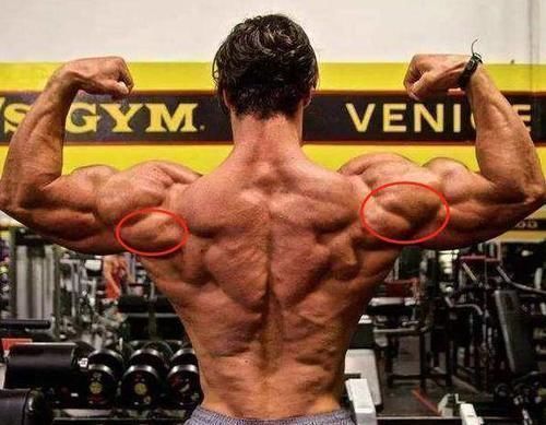 动作|三角肌前束没必要练那么三角肌后束其实也没必要练