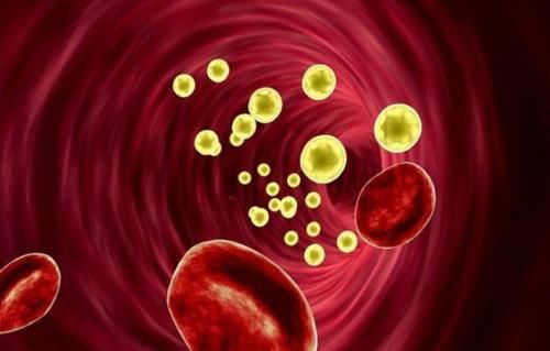 高血脂|血脂升高是因米饭吃多了？提示：3种蔬菜少吃点，或有助稳定血脂