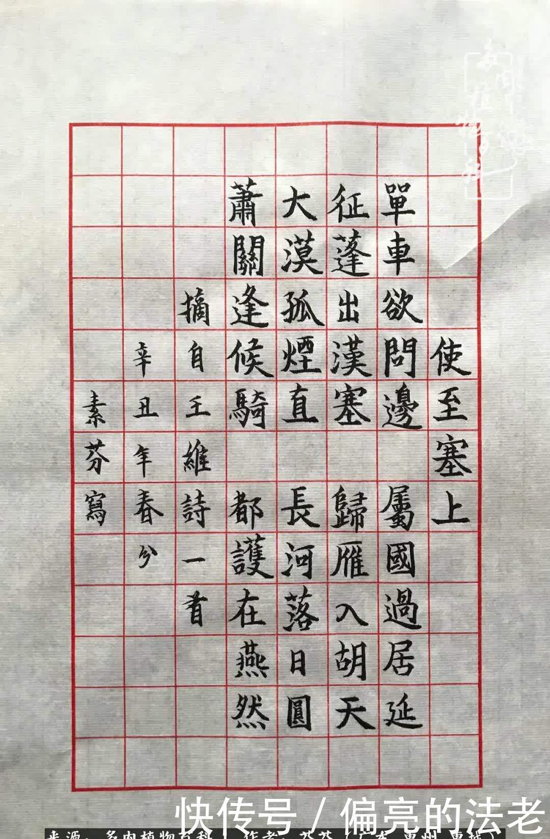 养花|一种爱好就是一种境界,养花养多肉可以培养一个人的心境!