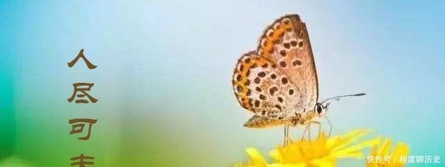 衣冠禽兽|“衣冠禽兽” 、“人尽可夫” 原来都不是骂人的词