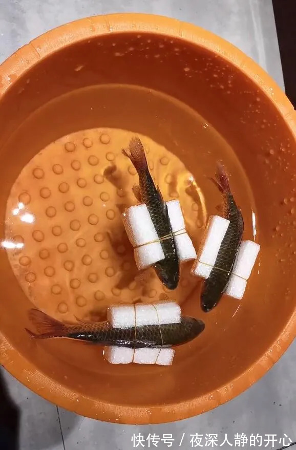 |今日段子:怎样才能把中文写的像外文一样?