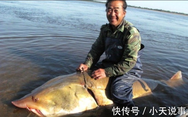 10种价格很高的淡水鱼,钓到这些鱼赶紧带回家