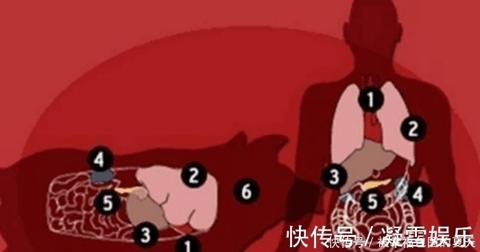 器官|女子死于中风,将器官捐献给5人,结果先后四人不幸中招