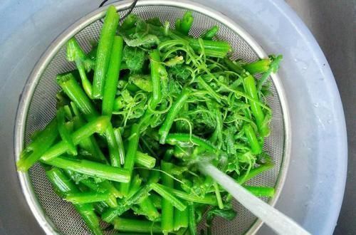 秋天,这种蔬菜多买点,做法简单,清肠刮油,家里人都爱吃