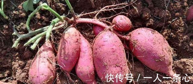 黑芝麻|男性衰老的5个表现,如有2个以上,别不承认,你有可能老了!