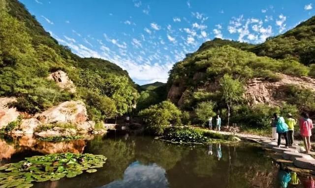 林木|北京这处景点山清水秀、林木繁茂、山高谷深、溪水潺潺