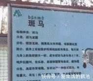 |搞笑GIF:妹子,你是个有才华的人,就是太贪玩了!