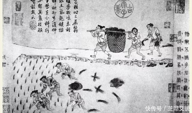 解析|解析均田制,为稳定政局发挥重大作用的均田制,为何在唐被废止?