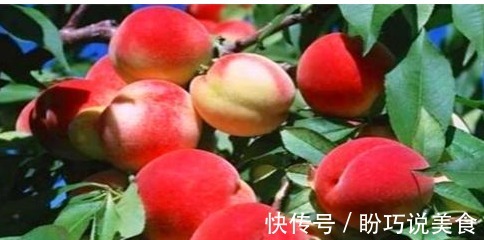 养生|冬天养生,常吃的食物,祛皱抗衰,提神醒脑、解除疲劳