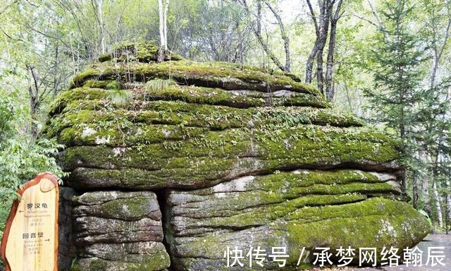 伊春市|亿万年的精雕细琢，造就了这处奇岩怪石，汤旺河林海奇石